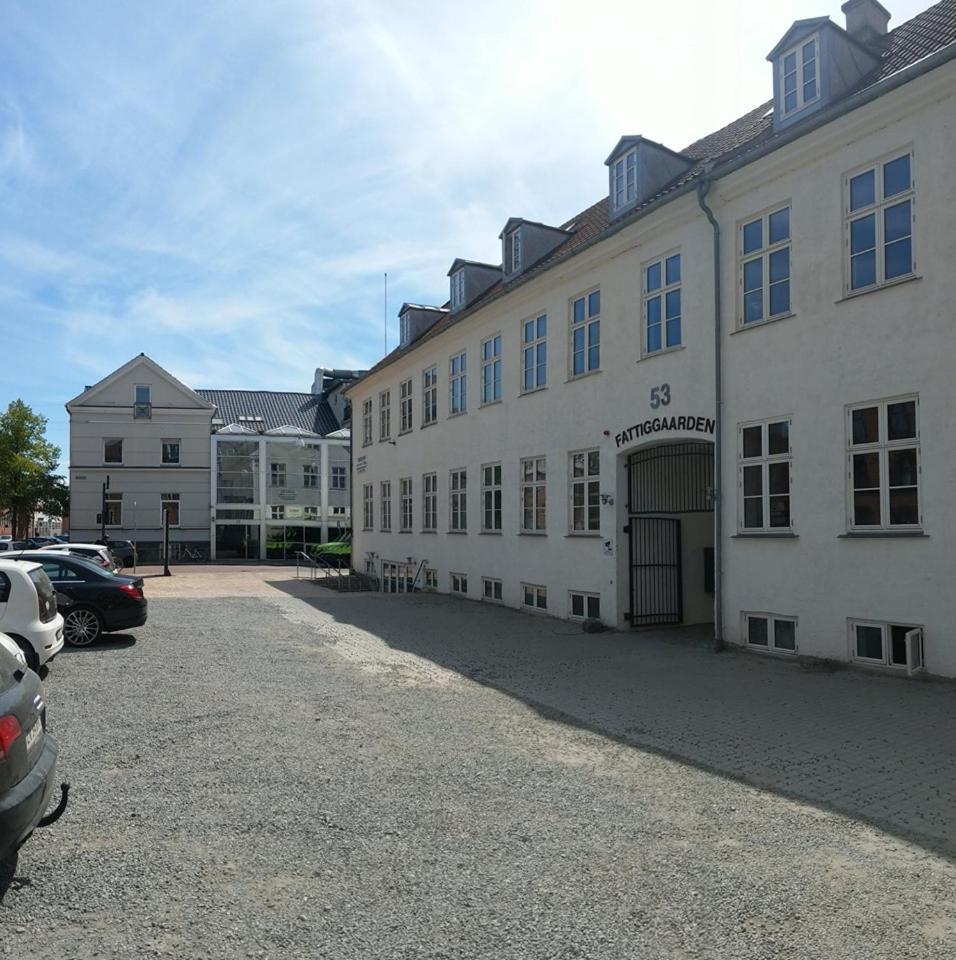 Princessen Pa Aerten Vandrarhem Odense