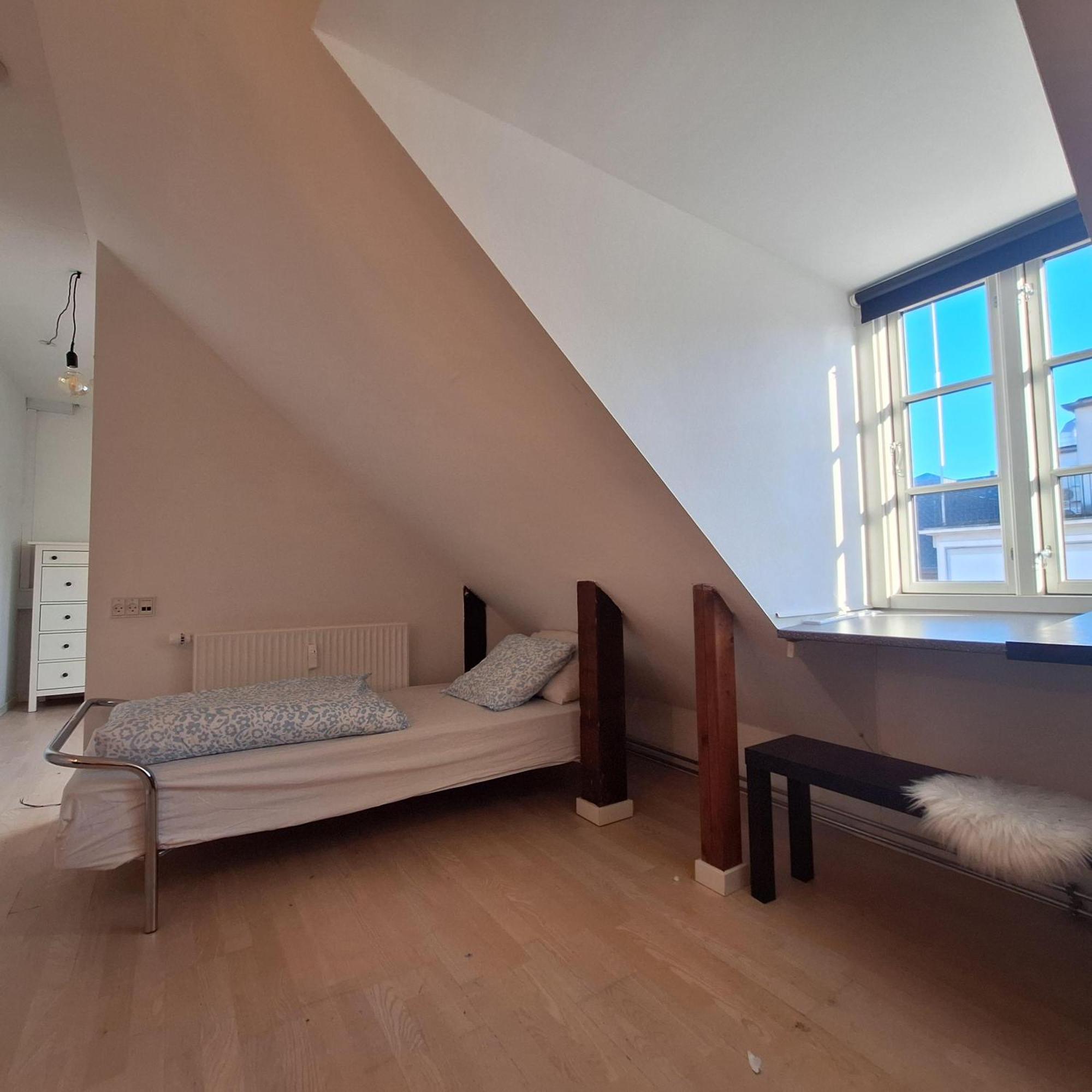 Princessen Pa Aerten * Odense