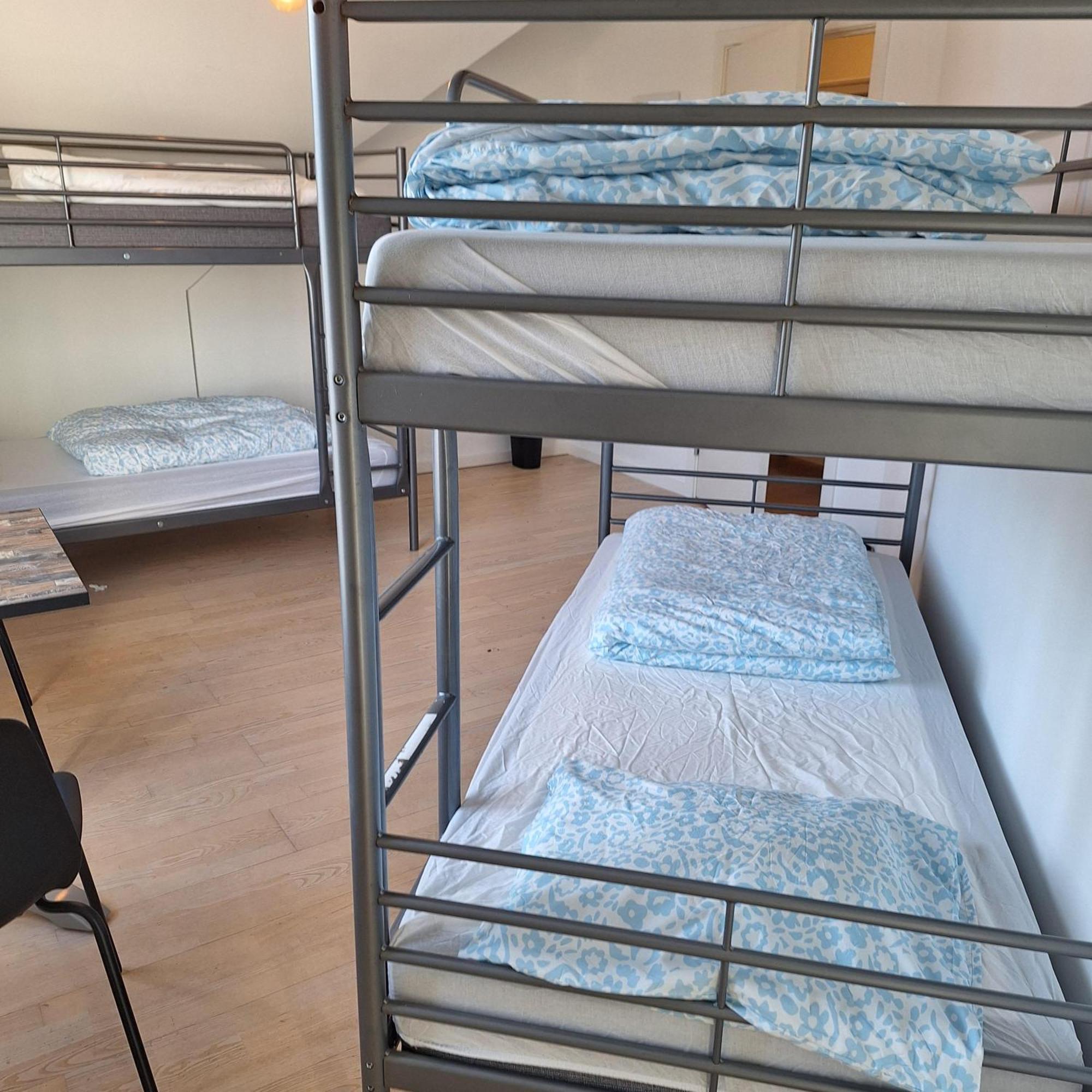 Princessen Pa Aerten * Odense